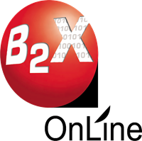 B2X Online Internet for Business