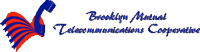 Brooklyn Mutual Telecommunications Cooperative Internet for Business