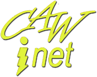 CAWinet Internet for Business