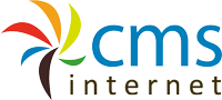 CMS Internet Internet for Business