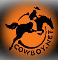 Cowboy.net Internet for Business