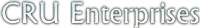 CRU Enterprises Internet for Business