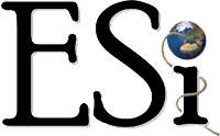 Electronic Solutions Internet for Business