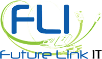 Future Link IT Internet for Business