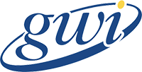 GWI Internet for Business
