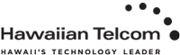 Hawaiian Telcom Internet for Business