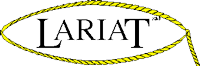 LARIAT.NET Internet for Business