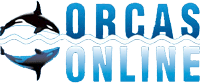 Orcas Online Internet for Business