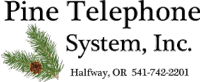 Pine Telephone Systems Internet for Business