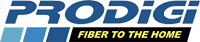 Prodigi Internet for Business