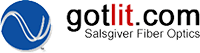 Salsgiver Internet for Business