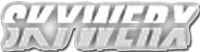 Skywerx Industries Internet for Business
