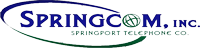 Springcom Internet for Business